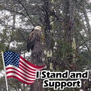 Meet your Posher, Terry